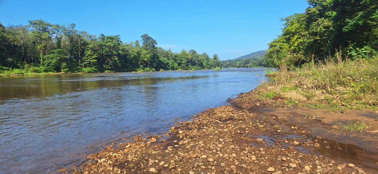 شقة Jackroot Heritage Athirappilly Kallana المظهر الخارجي الصورة